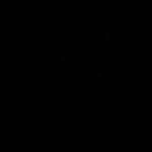 Meet your Posher, Tracey